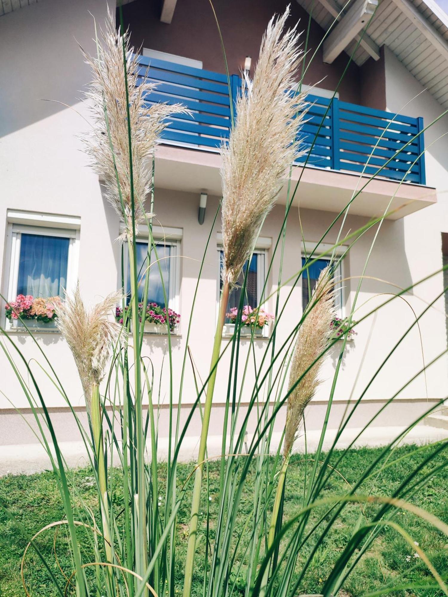 Apartman Swans Otočac 外观 照片